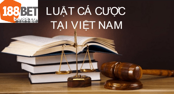 Cách hiểu đúng về luật cá độ tại Việt Nam là gì