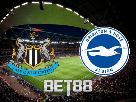 Soi kèo nhà cái Newcastle vs Brighton Albion – 22h00 – 05/03/2022