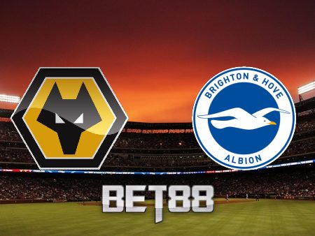 Soi kèo nhà cái Wolves vs Brighton – 21h00 – 30/04/2022