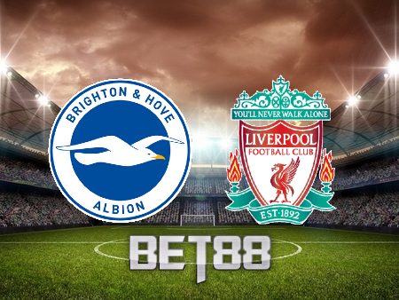 Soi kèo nhà cái Brighton vs Liverpool – 22h00 – 14/01/2023