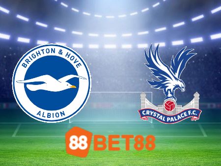 Soi kèo Brighton vs Crystal Palace – 22h00 – 03/02/2024